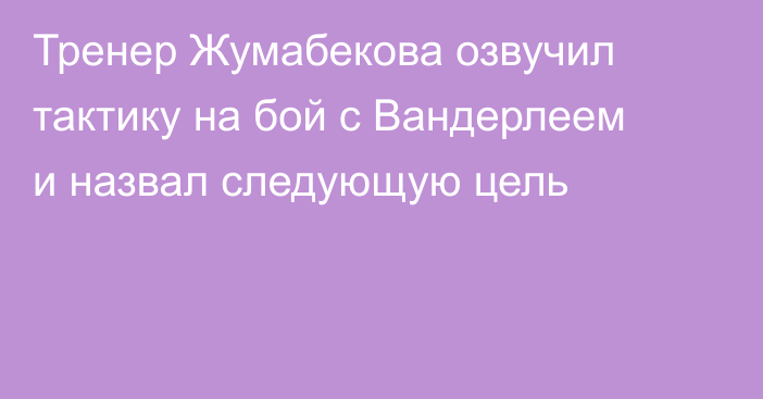 Тренер Жумабекова озвучил тактику на бой с Вандерлеем и назвал следующую цель