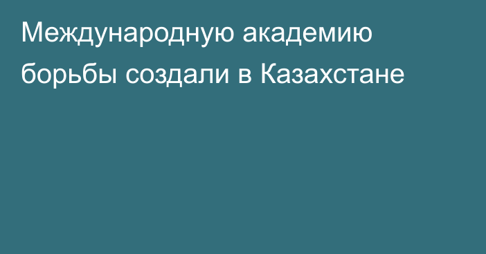 Международную академию борьбы создали в Казахстане