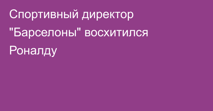 Спортивный директор 