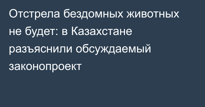 Отстрела бездомных животных не будет: в Казахстане разъяснили обсуждаемый законопроект