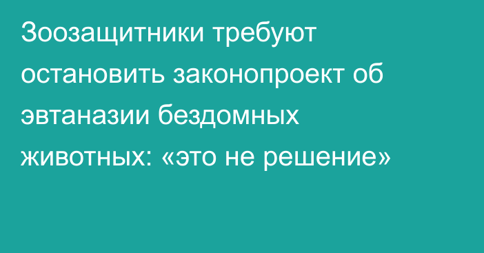 Зоозащитники требуют остановить законопроект об эвтаназии бездомных животных: «это не решение»
