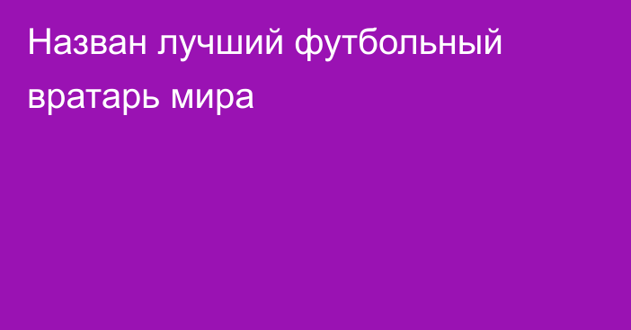 Назван лучший футбольный вратарь мира