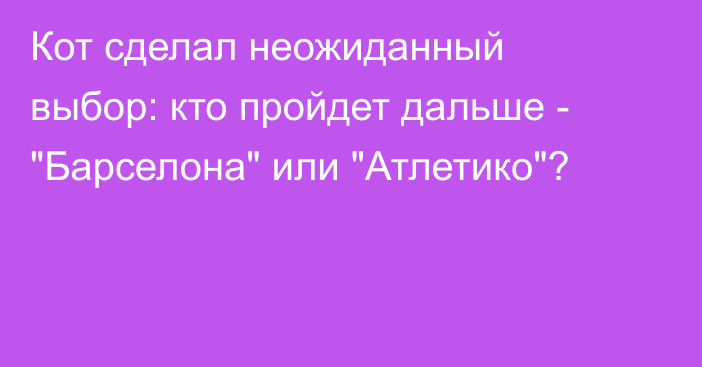 Кот сделал неожиданный выбор: кто пройдет дальше - 