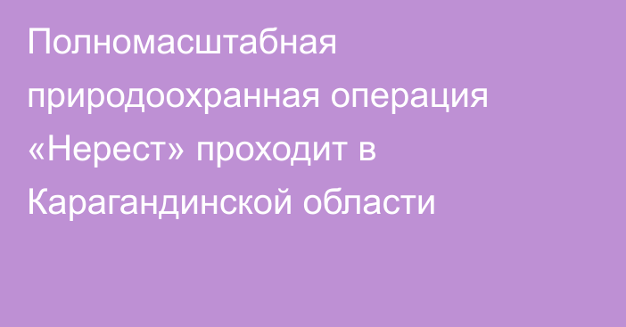 Полномасштабная природоохранная операция «Нерест» проходит в Карагандинской области