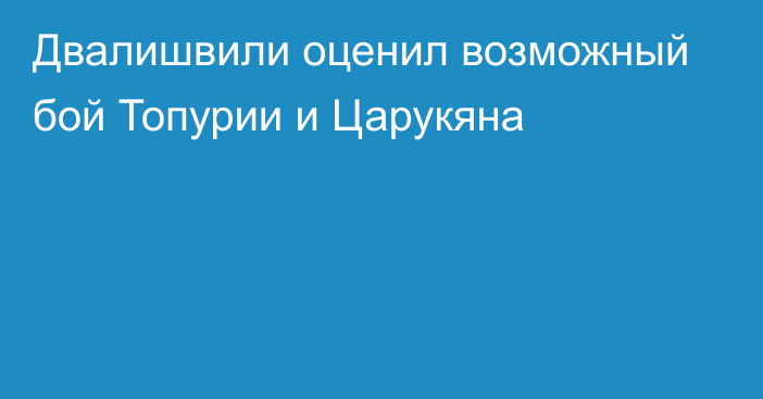Двалишвили оценил возможный бой Топурии и Царукяна