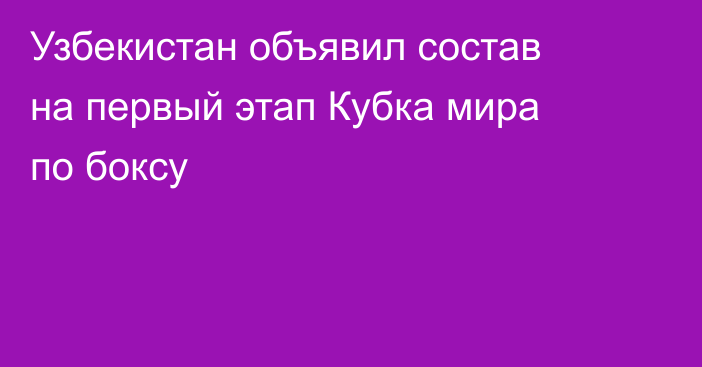Узбекистан объявил состав на первый этап Кубка мира по боксу