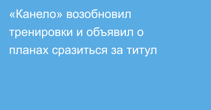 «Канело» возобновил тренировки и объявил о планах сразиться за титул