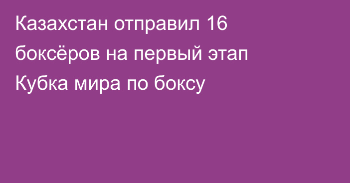 Казахстан отправил 16 боксёров на первый этап Кубка мира по боксу