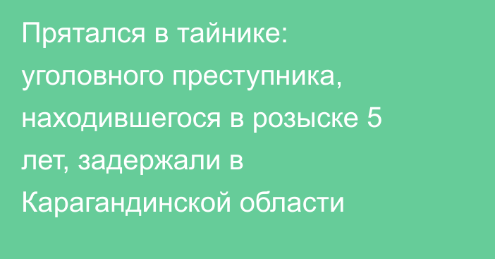 Прятался в тайнике: уголовного преступника, находившегося в розыске 5 лет, задержали в Карагандинской области