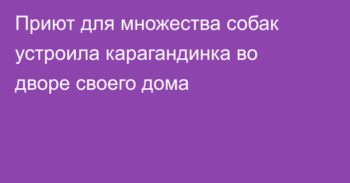 Приют для множества собак устроила карагандинка во дворе своего дома