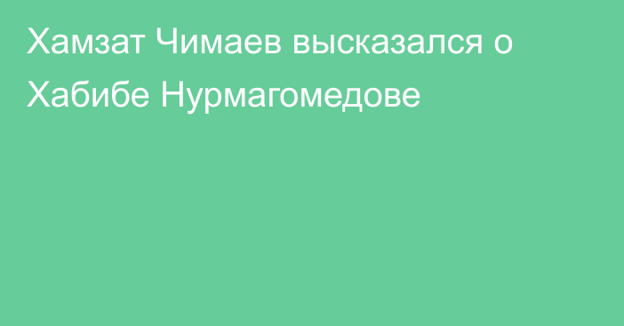 Хамзат Чимаев высказался о Хабибе Нурмагомедове