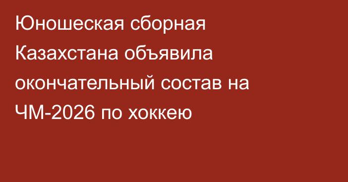 Юношеская сборная Казахстана объявила окончательный состав на ЧМ-2026 по хоккею