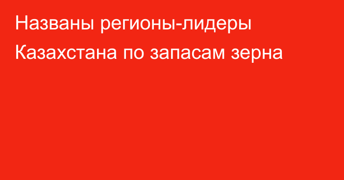 Названы регионы-лидеры Казахстана по запасам зерна