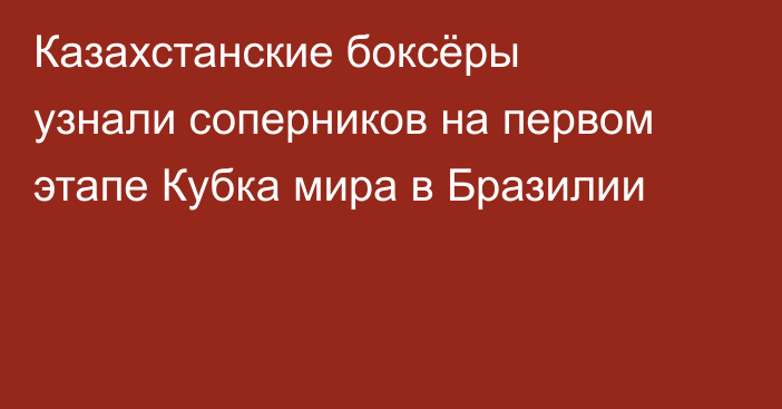 Казахстанские боксёры узнали соперников на первом этапе Кубка мира в Бразилии
