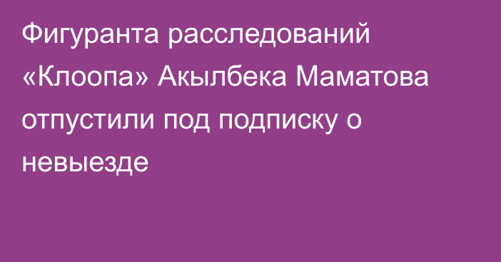 Фигуранта расследований «Клоопа» Акылбека Маматова отпустили под подписку о невыезде