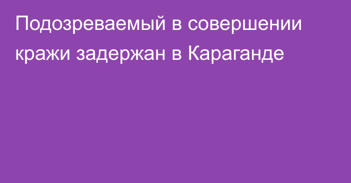 Подозреваемый в совершении кражи задержан в Караганде