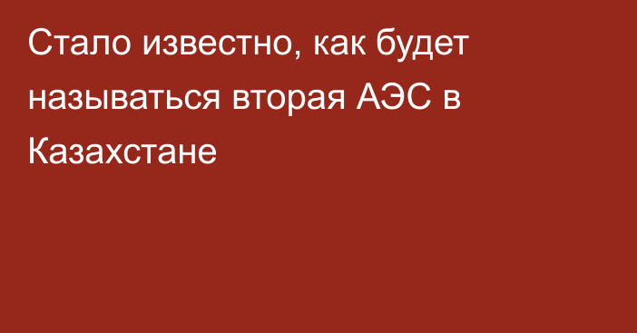 Стало известно, как будет называться вторая АЭС в Казахстане