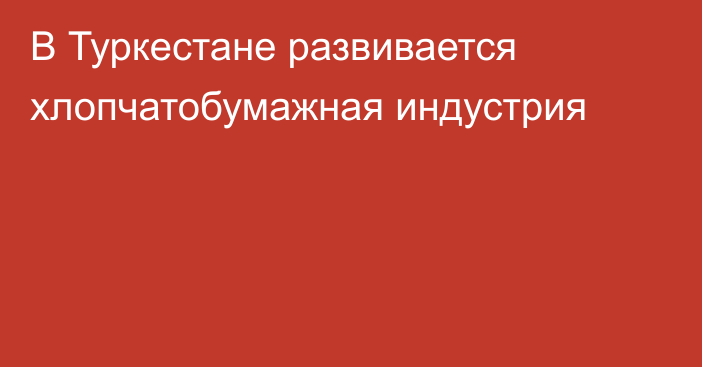 В Туркестане развивается хлопчатобумажная индустрия