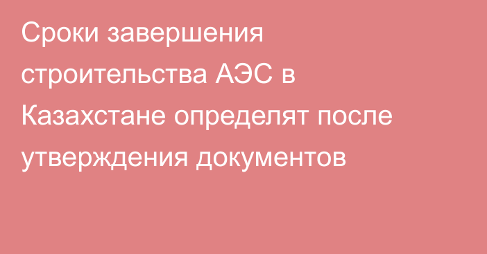 Сроки завершения строительства АЭС в Казахстане определят после утверждения документов