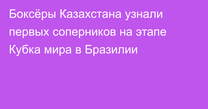 Боксёры Казахстана узнали первых соперников на этапе Кубка мира в Бразилии