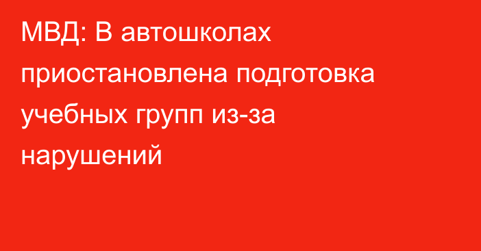 МВД: В автошколах приостановлена подготовка учебных групп из-за нарушений