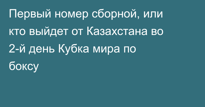 Первый номер сборной, или кто выйдет от Казахстана во 2-й день Кубка мира по боксу
