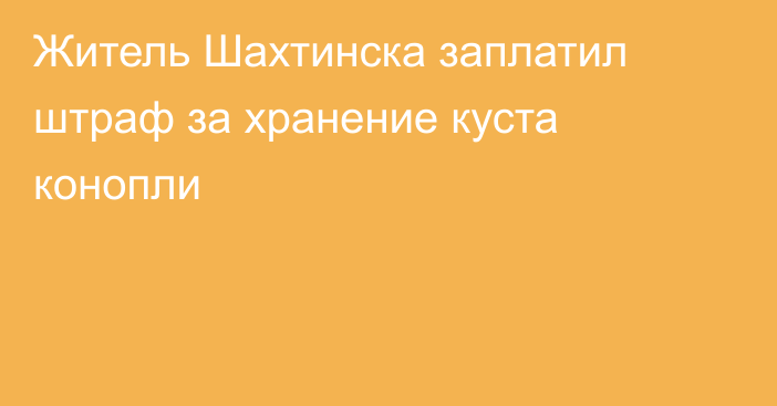 Житель Шахтинска заплатил штраф за хранение куста конопли