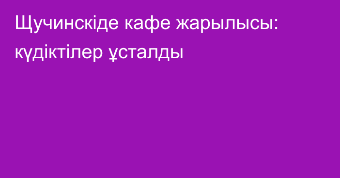 Щучинскіде кафе жарылысы: күдіктілер ұсталды