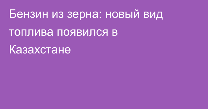 Бензин из зерна: новый вид топлива появился в Казахстане