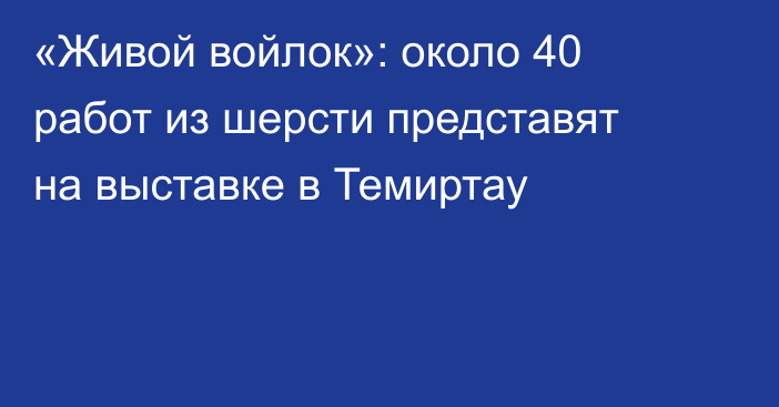 «Живой войлок»: около 40 работ из шерсти представят на выставке в Темиртау