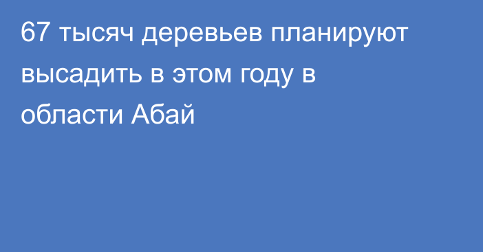 67 тысяч деревьев планируют высадить в этом году в области Абай