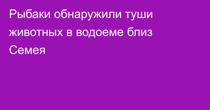 Рыбаки обнаружили туши животных в водоеме близ Семея