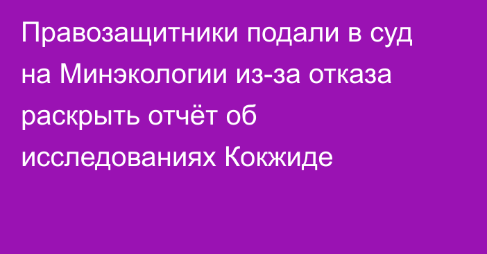 Правозащитники подали в суд на Минэкологии из-за отказа раскрыть отчёт об исследованиях Кокжиде
