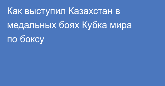 Как выступил Казахстан в медальных боях Кубка мира по боксу