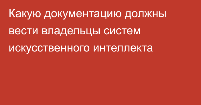 Какую документацию должны вести владельцы систем искусственного интеллекта