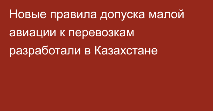 Новые правила допуска малой авиации к перевозкам разработали в Казахстане