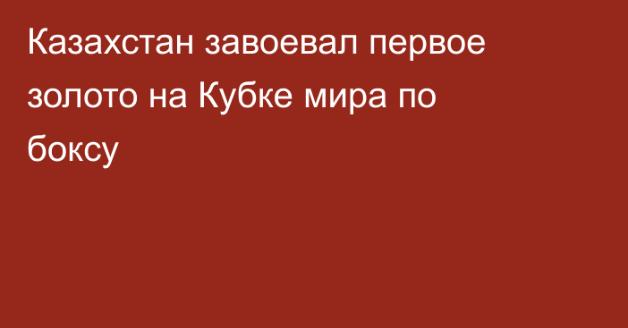 Казахстан завоевал первое золото на Кубке мира по боксу