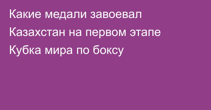 Какие медали завоевал Казахстан на первом этапе Кубка мира по боксу