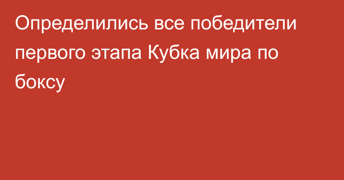 Определились все победители первого этапа Кубка мира по боксу