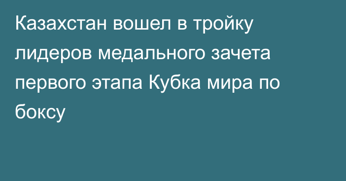 Казахстан вошел в тройку лидеров медального зачета первого этапа Кубка мира по боксу