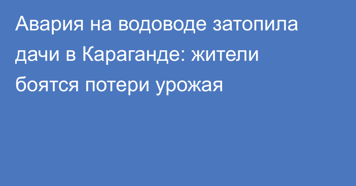 Авария на водоводе затопила дачи в Караганде: жители боятся потери урожая