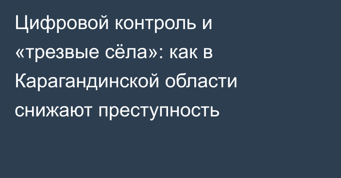 Цифровой контроль и «трезвые сёла»: как в Карагандинской области снижают преступность