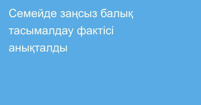 Семейде заңсыз балық тасымалдау фактісі анықталды