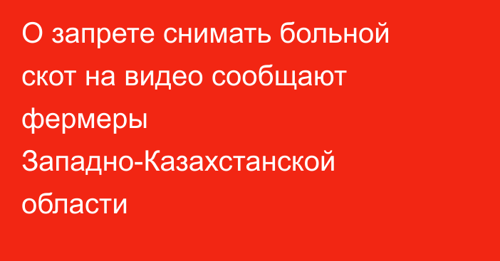 О запрете снимать больной скот на видео сообщают фермеры Западно-Казахстанской области