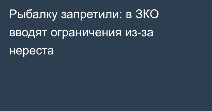 Рыбалку запретили: в ЗКО вводят ограничения из-за нереста