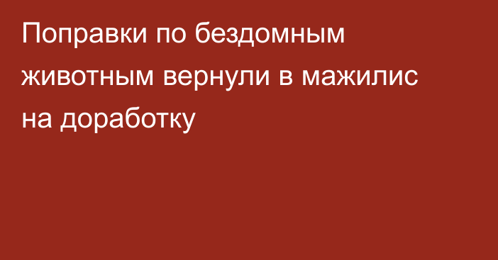 Поправки по бездомным животным вернули в мажилис на доработку