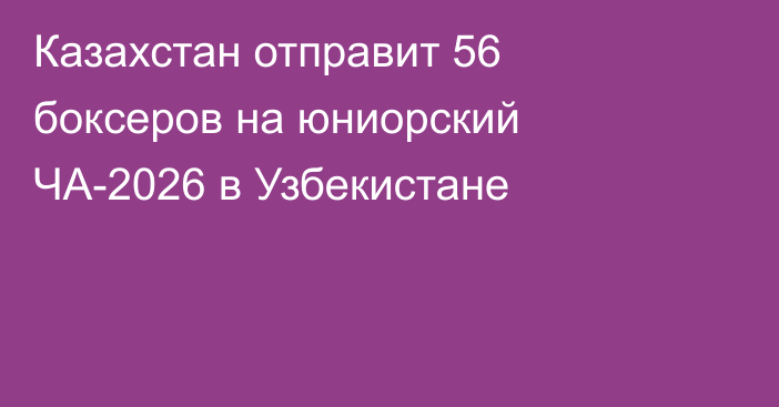 Казахстан отправит 56 боксеров на юниорский ЧА-2026 в Узбекистане