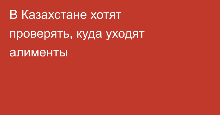 В Казахстане хотят проверять, куда уходят алименты