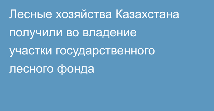 Лесные хозяйства Казахстана получили во владение участки государственного лесного фонда