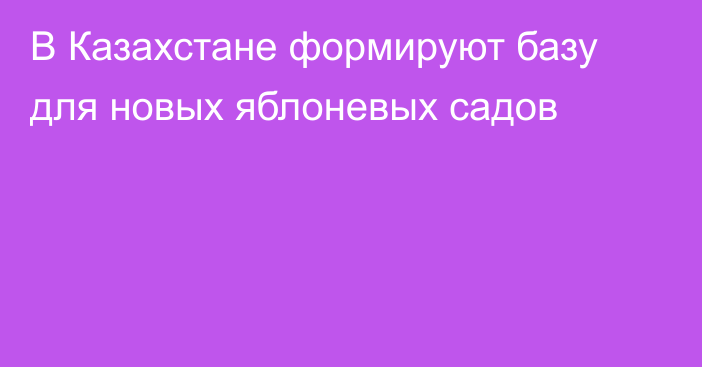В Казахстане формируют базу для новых яблоневых садов